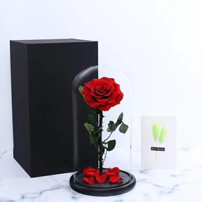 China Wholesale Touch Natural Preserved Rose Grand Prince 1 Rose Natural Preserved Rose In Glass Dome for sale