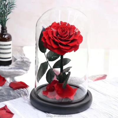 China Limited Time Natural Discount Natural Preserved Touch Flowers Fresh Preserved Roses In Glass Dome for sale