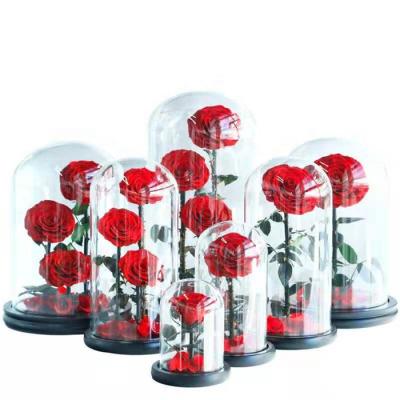 China Natural Touch Wholesale Hot Selling Roses Preserved Durable Eternal Rose Gift Preserved Mounted In Glass Dome for sale