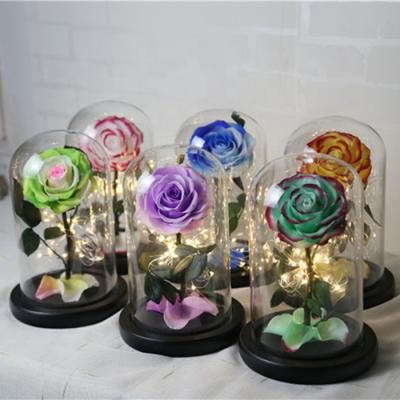 China Natural Touch Wholesale Natural Preserved Roses Stem Mini Little Prince Preserved Rose Glass Shade for sale