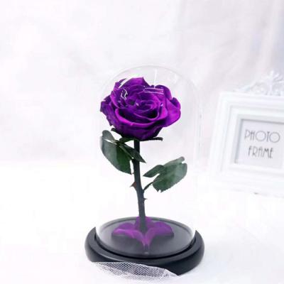 China Yunnan Natural Wholesale Competitive Price Contact Little Prince Preserved Roses In Glass Dome for sale