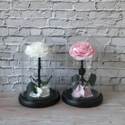 China Gift ; Surprise Customized Decorative Preserved Roses Rose Christmas Rose Gift Led Light In Glass Dome for sale