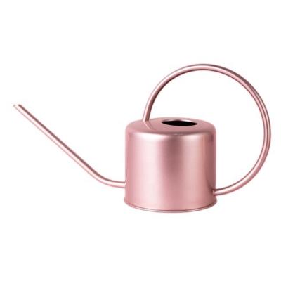 China Garden Watering Plants Modern Watering Can Pink Color Garden Can Stainless Steel Watering Can For Garden Decoration for sale