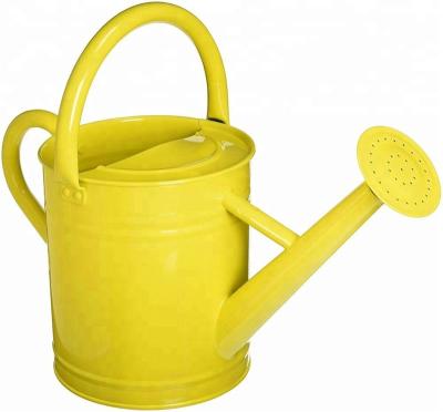 China Eco-friendly Metal Galvanized Garden Watering Can With Removable Brass Rose Vintage Galvanized Steel Garden Plant for sale