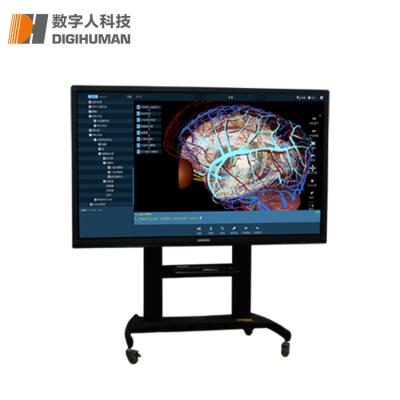 China DIGIHUMAN System Anatomy Lab Equipment ECDH-International 86 Anatomical Specimen for sale