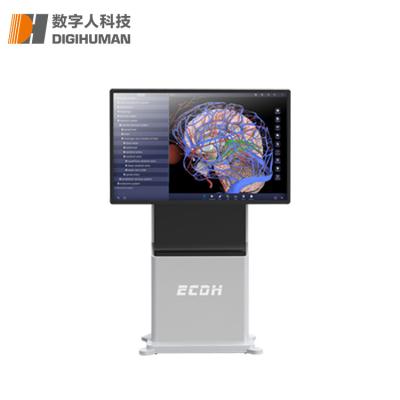 China Customized Human Virtual Anatomy Teaching Quick Delivery ECDH-international 55 for sale