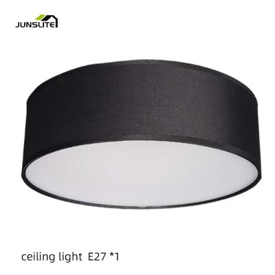 China Home Modern Modern Room Lighting Fixture Lamp Ceiling Lights Indoor Fancy Nordic CE for sale