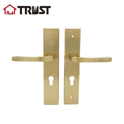 China TRUST TP20-TH039-PVD Modern High Quality SUS304 Door Lever Handle For Wooden Door for sale