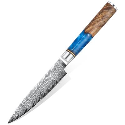 China Newcomer Viable 3.5 Inch 67 Layers Damascus Paring Knife Paring Knives With Resin Wood Handle TL-DR04 for sale