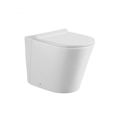 China Automatic Operation Asia and South American Style Stock One-piece Fashion Eco-Friendly Toilets Comfort Height Toilet for sale