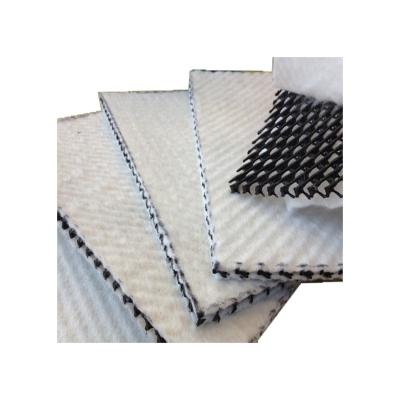 China Modern Top Selling Guaranteed Quality Geocomposite Drainage Sheet for sale