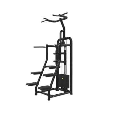 China Best Commercial Use Weight Lifting Home Free Assisted Chin Up /Dip Fitness Equipment Gym Machines Commercial Trainer Simulator Sports for sale