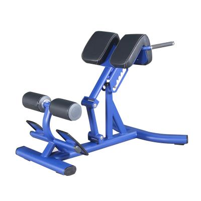 China Home\Gym\Commercial Roman Chair /Back Extender Position Leg Extender Sports Performance Fitness Equipment For Gym for sale