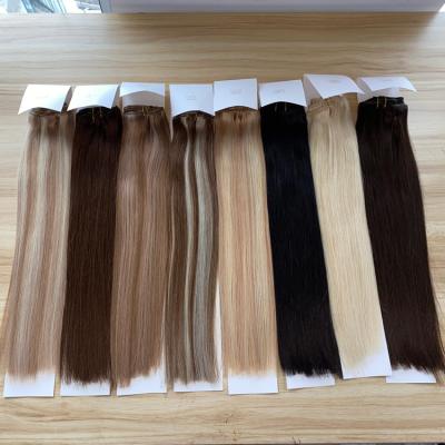 China 100% Virgin Human Hair Top Sale Clip In Hair Extensions Hair Extensions 100% Custom Color Clip On Hair Extensions for sale