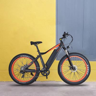 China Fat Tire Aluminum Alloy 48V 750W Electric Bicycle Mountain E Bike Beach Cruiser Electric Bike for sale