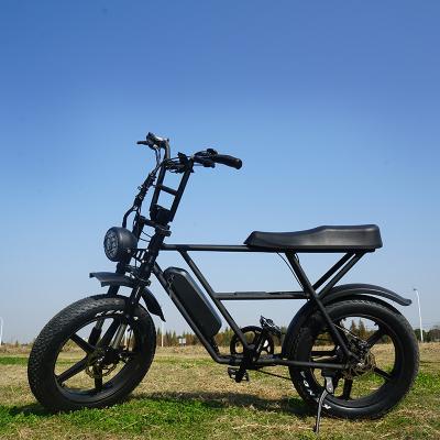 China Mountain bici aluminum alloy ebike double electric bicycle Super electric bike MTB 73 fat tire for sale