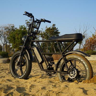 China Vtuvia fat tire aluminum alloy mountain motorcycle ebike electric system for sale