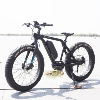 China Standard Popular Electric Bike 750w Motor Mountain Ebike With High Quality for sale