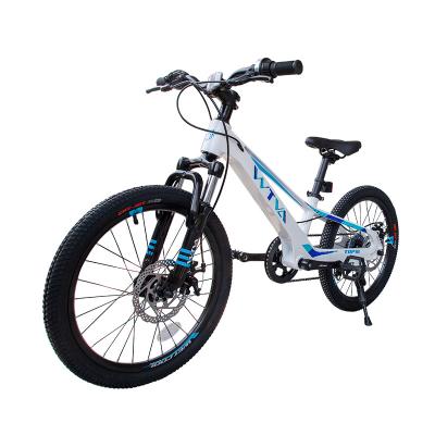 China Cheap Price 20 Inch Teens Teenagers Aluminum Alloy Street Bike for sale