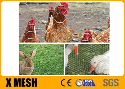 Κίνα Antirust Galvanized Hexagonal Chicken Mesh Rabbit Netting Screen 0.9X 30M Roll προς πώληση