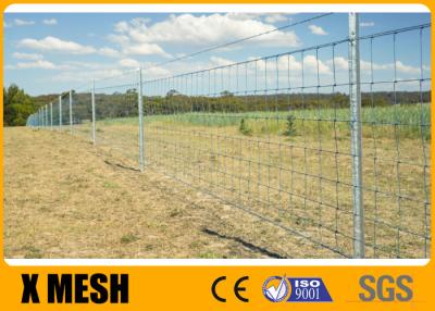 Cina Giunto di cerniera di ASTM A121 15cm che recinta cavo Mesh Hot Dipped Galvanized in vendita