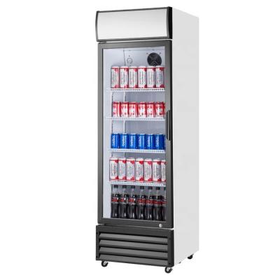 China 180L hotel single door display fridge vertical beer beverage freezer for sale for sale