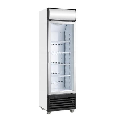 China New Commercial Cooler Hotel Refrigerator 290L Beverage Display Case Freezer for sale