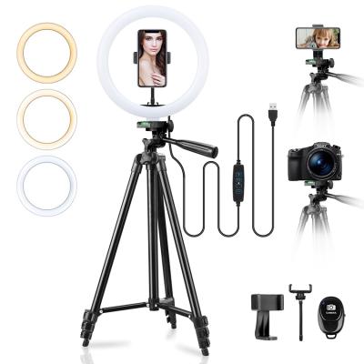 China Mini Hot Sale 10 Inch Dimmable Selfie Photo Booth Moving Stick LED Ring Light for sale