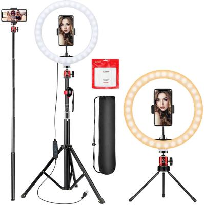 China UEGOGO 10 Inch Mini Ring Light White With Selfie Stick Tripod For Camera Mobile Phone Tiktok Youtube for sale