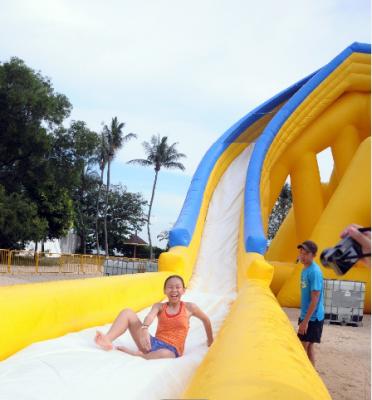 China PVC amusement park inflatable water slide for sale, 10 meter high inflatable water slide for sale