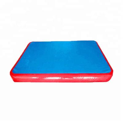 China China Inflatable Gym Tumble Track Inflatable Gymnastic Air Mat for sale