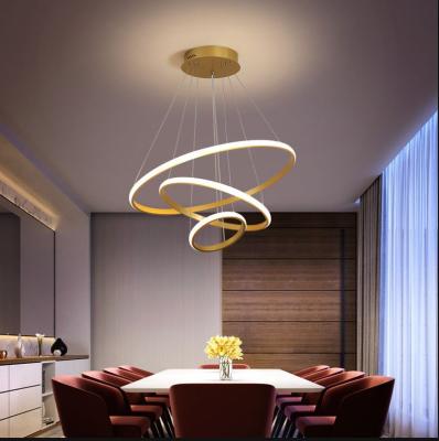 China Simple Modern Nordic Living Room Gold Bedroom Restaurant Net Wrought Iron Circle Red Led Pendant Light for sale