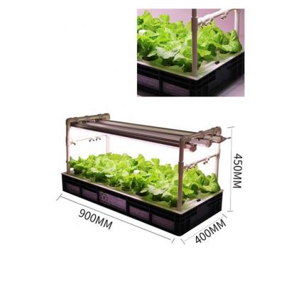 China PC Leaf Cultivation Succulents Single Layer Soilless Vegetable Integrated Aeroponic Hydroponic System for sale