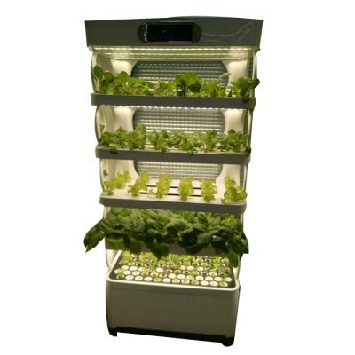 China Farms Vertical Indoor Garden Kitchen Use Smart Hydroponics To Grow Kit Kitchen for sale