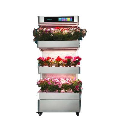 China 40- 60Square Meter Hydroponic Flower Planter Air Purification Formaldehyde Decomposing Machine for sale