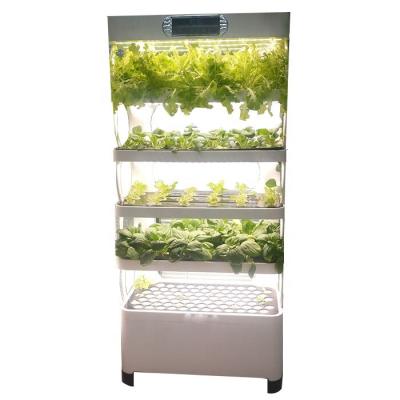 China Farms Led Lamp System Smart Home Hydroponics Indoor Hydroponics Growing Vegetable Planter for sale