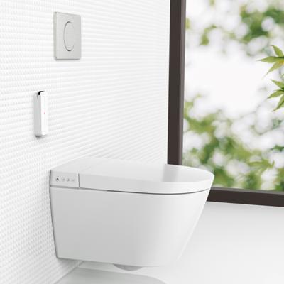 China HEGII Operation Cistern Luxury European Wall Mounted Automatic Electric Hidden Bathroom Sensor Wc Automatic Smart Wall Hung Smart Toilet for sale