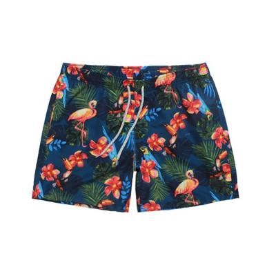 China Wholesale Breathable 100% Polyester Shorts Mens Swim Shorts Beach Surf Shorts for sale