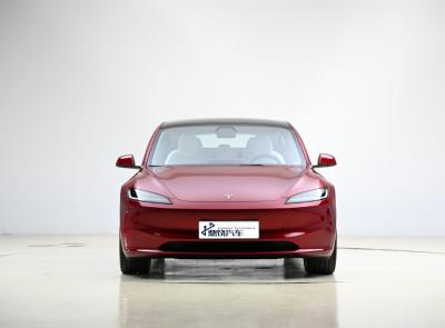 China 2875mm Jong Stijlvol Tesla Elektrische Voertuigen Model 3 Krachtig Elektrisch Auto Model Te koop