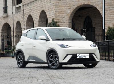 China Bom Preço Fábrica de Automóveis Competitivos 2WD BYD EV Carro Gavião-marinho 4 lugares Veículo de Nova Energia Pura Mini EV Carro à venda