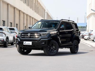 China 385Nm 185KW 252Ps 4WD 5 Sitz 5 Tür 2.0T Tank 400 SUV Benzin Brennstoff Neues Auto zu verkaufen