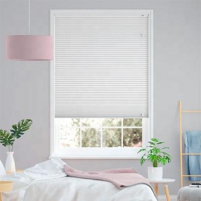 China Eco-friendly Hot Sell Blackout Honeycomb Semi Blind Manual Zebra Blinds For Home Use for sale