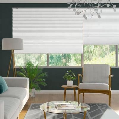 China Nice Direct Selling Eco-Friendly Design Factory Manufacturer Blind Honeycomb Bind Blackout Curtain for sale