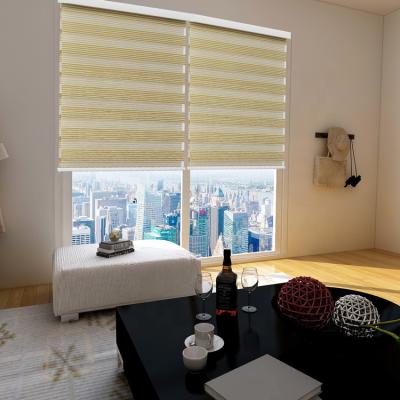 China Manufacturer Eco-friendly High Quality Direct Roller Shutter Blinds Shades Zebra Blinds for sale