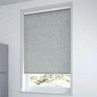 China Eco - Friendly Manual Roller Blinds For Window With Best Selling Indoor Roller Shades for sale