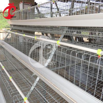 China Poultry Farm A Type Chicken Farm Egg Layer Galvanized Chicken Cage In Kenya for sale