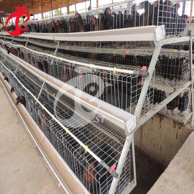 China Chicken Farm Battery Layer Chicken Cage For Poultry Farm With 120 Birds Capacity for sale