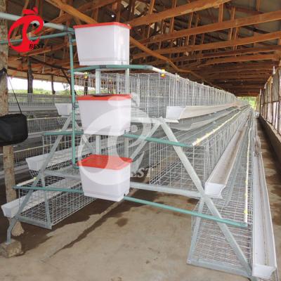 China Automatic Chicken Farm South Africa A Type Layer Chicken Cage For Sale for sale