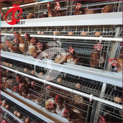 China Chicken Farm Low Cost A Type 3 Tier Battery Automatic Layer Chicken Cage for sale