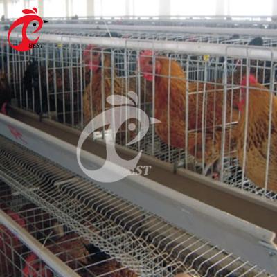 China Hot Selling Africa Poultry Farm Chicken Farm 3 Tier 120 Capacity Layer Chicken Cage for sale